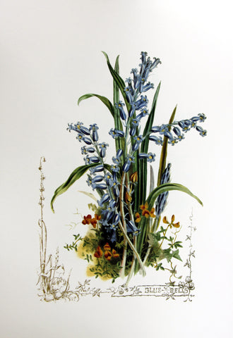 Blue Bells (Victorian Flowers), by Paul Jerand 349