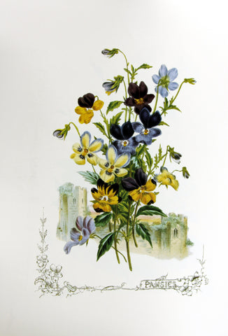 Pansies (Victorian Flowers), by Paul Jerand 351